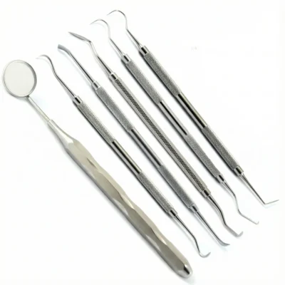 Dental Pick Teeth Cleaning Kit