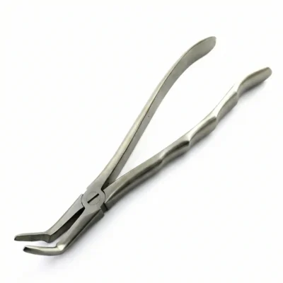 Dental Long Beak Dental Extracting Forceps Serrated